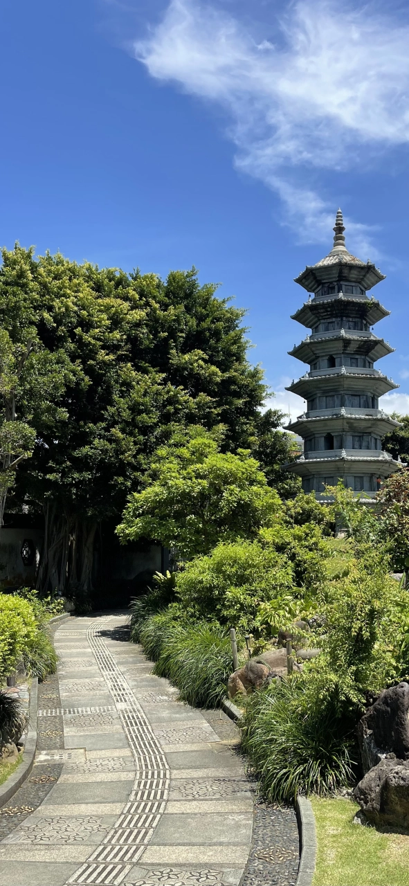 Life Update: Japan Living