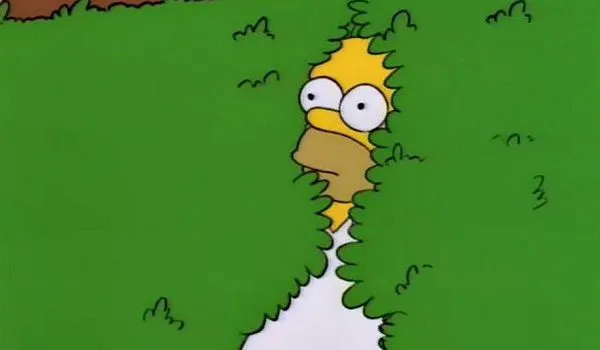homer simpson hiding in bushes avoiding something